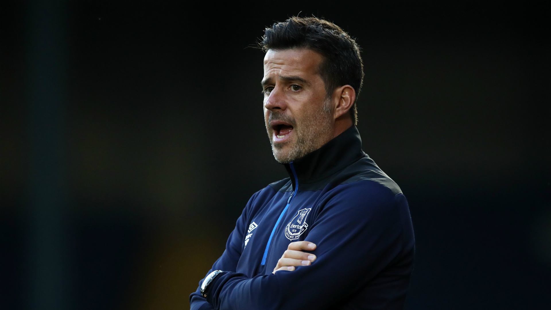 伊布不仅是 伊布不仅是